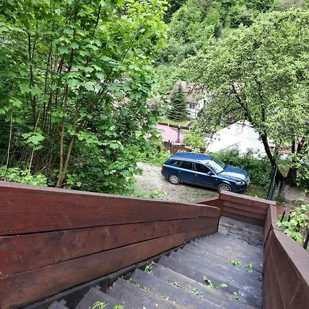 Gruber Forrest With Real Wood Hottub *