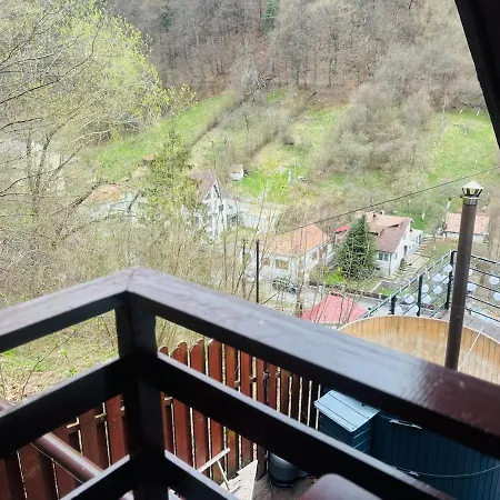 Gruber Forrest With Real Wood Hottub