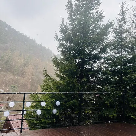 Gruber Forrest With Real Wood Hottub * Braşov