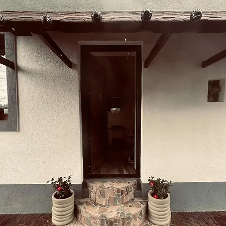 Gruber Forrest With Real Wood Hottub Braşov