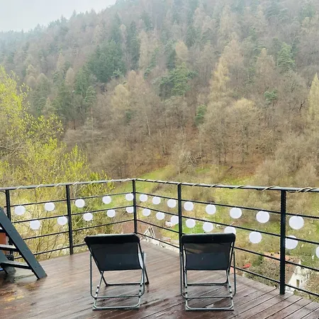 Gruber Forrest With Real Wood Hottub *