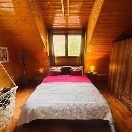 Gruber Forrest With Real Wood Hottub * Braşov